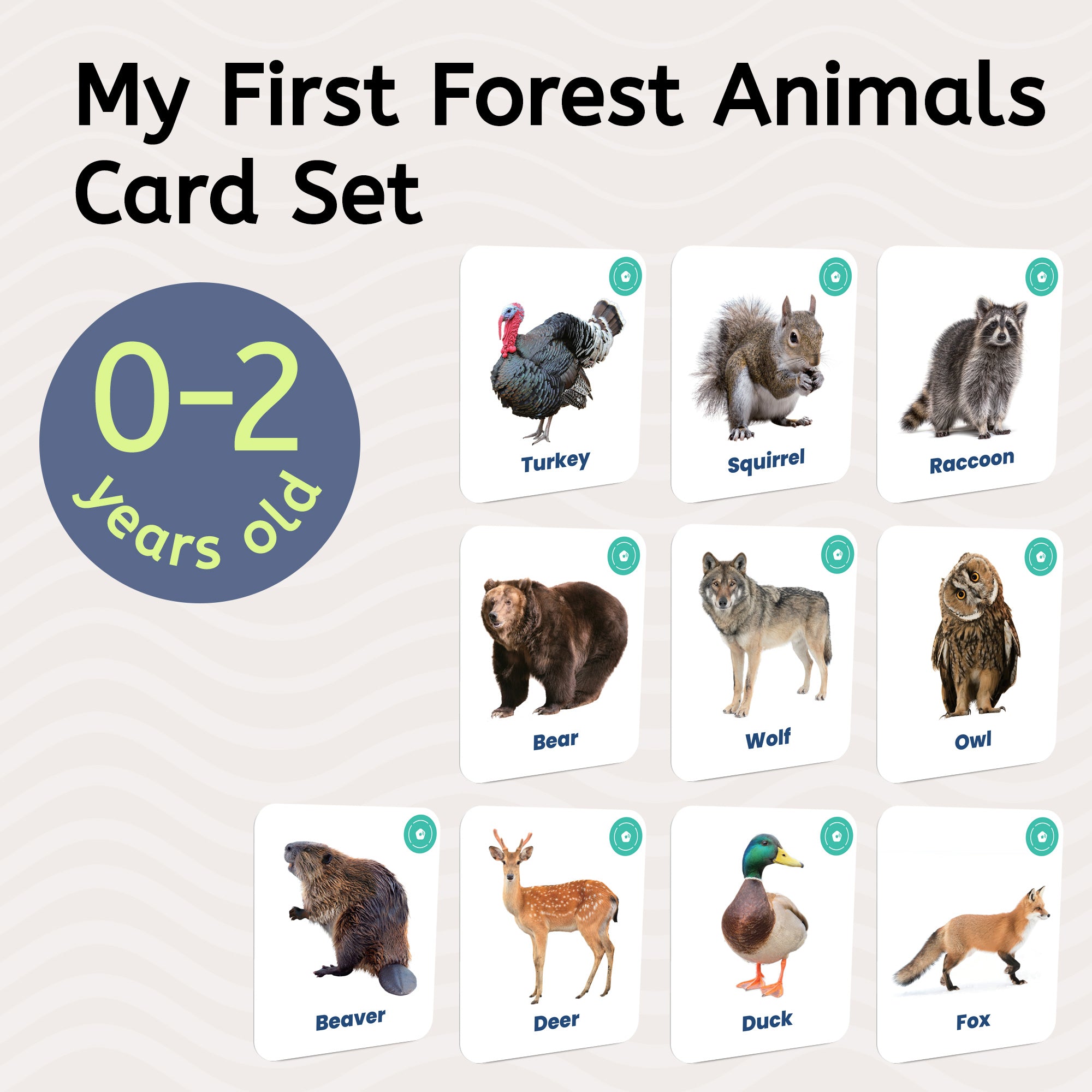 My First Forest Animals Card Set