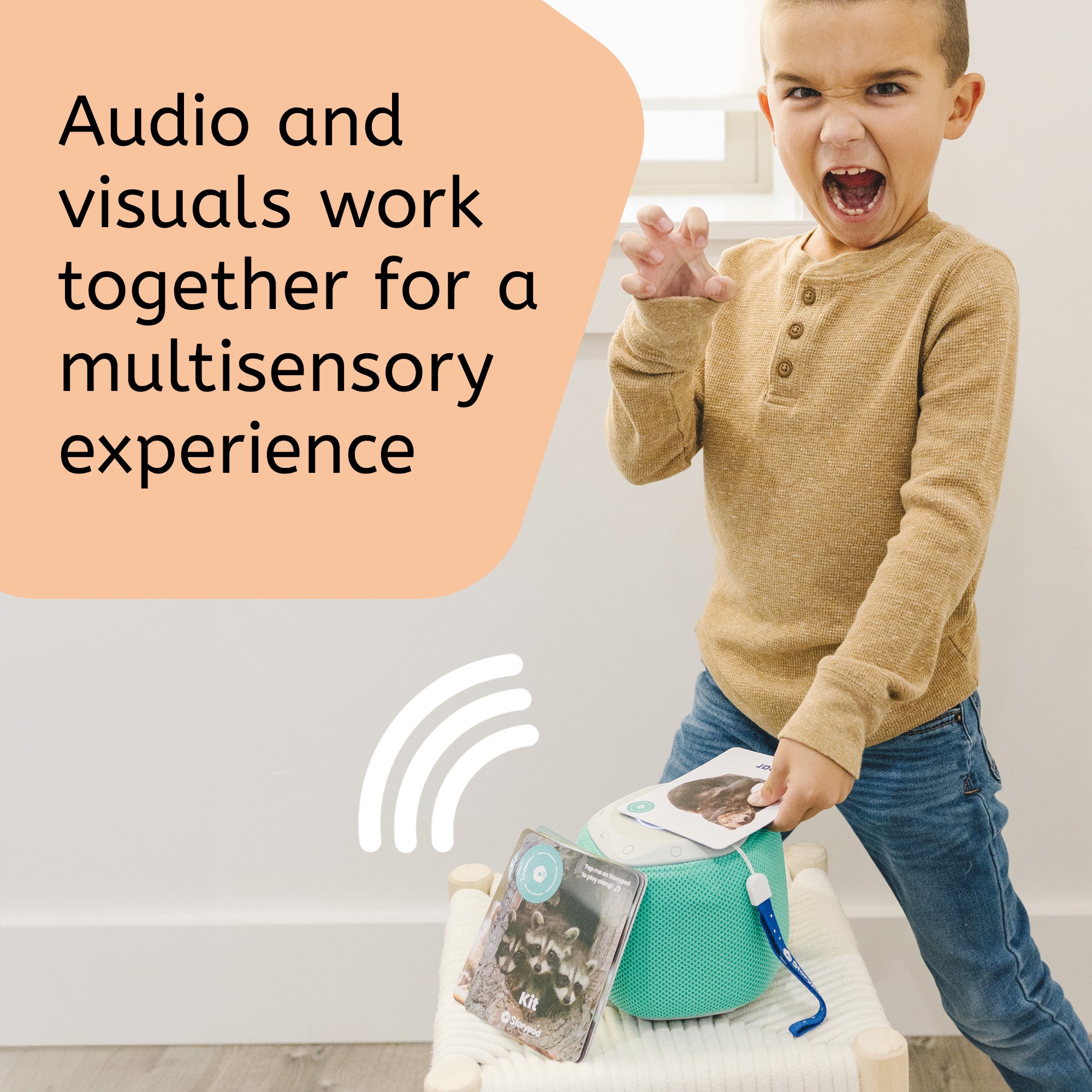 My First Forest Animals Card Set