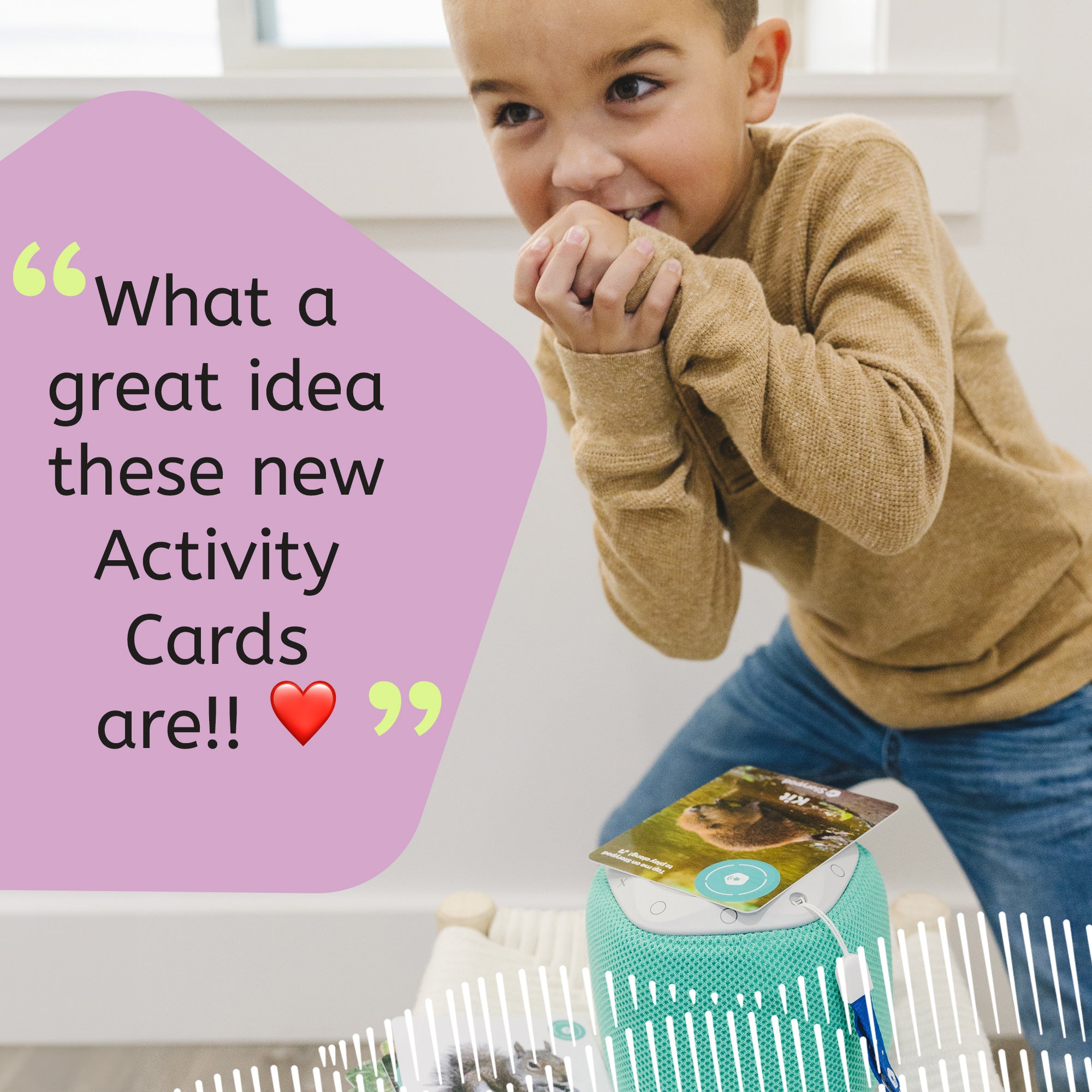 My First Forest Animals Card Set