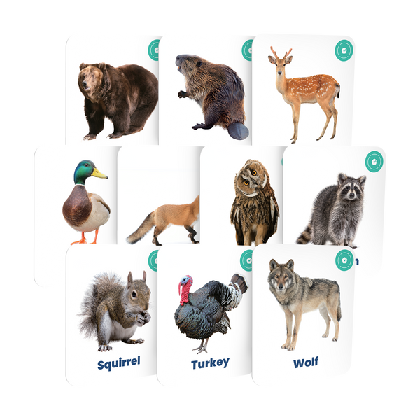 My First Forest Animals Card Set