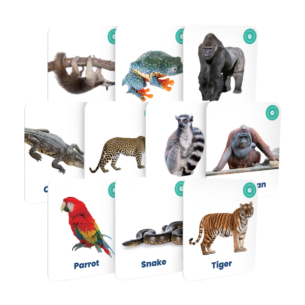 My First Jungle Animals Card Set
