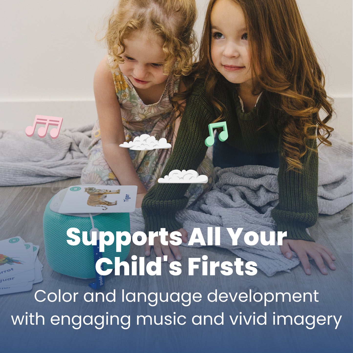 Colors & Jungle Animals Learning Set