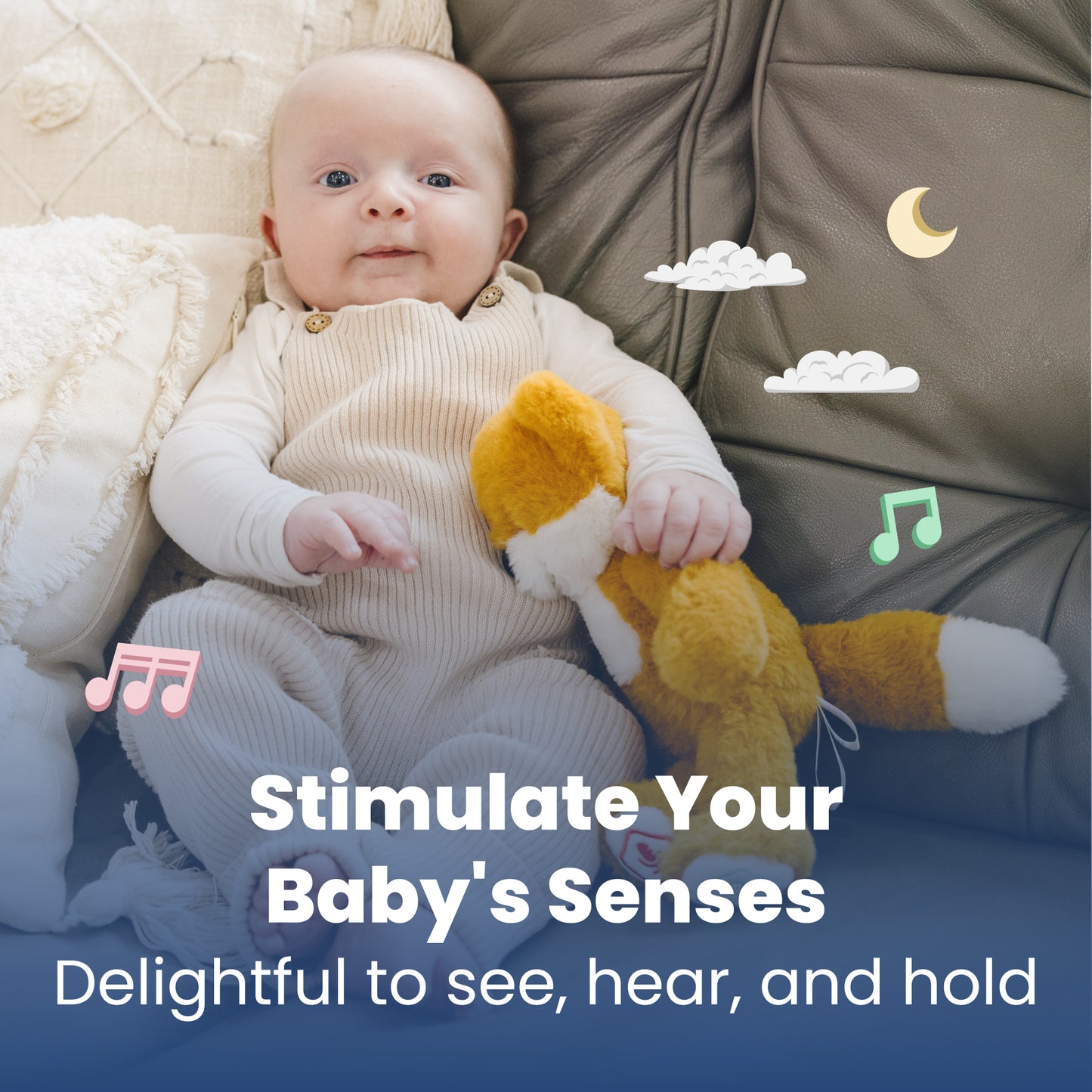 Baby Learn & Dream Bundle