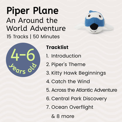 Piper Plane