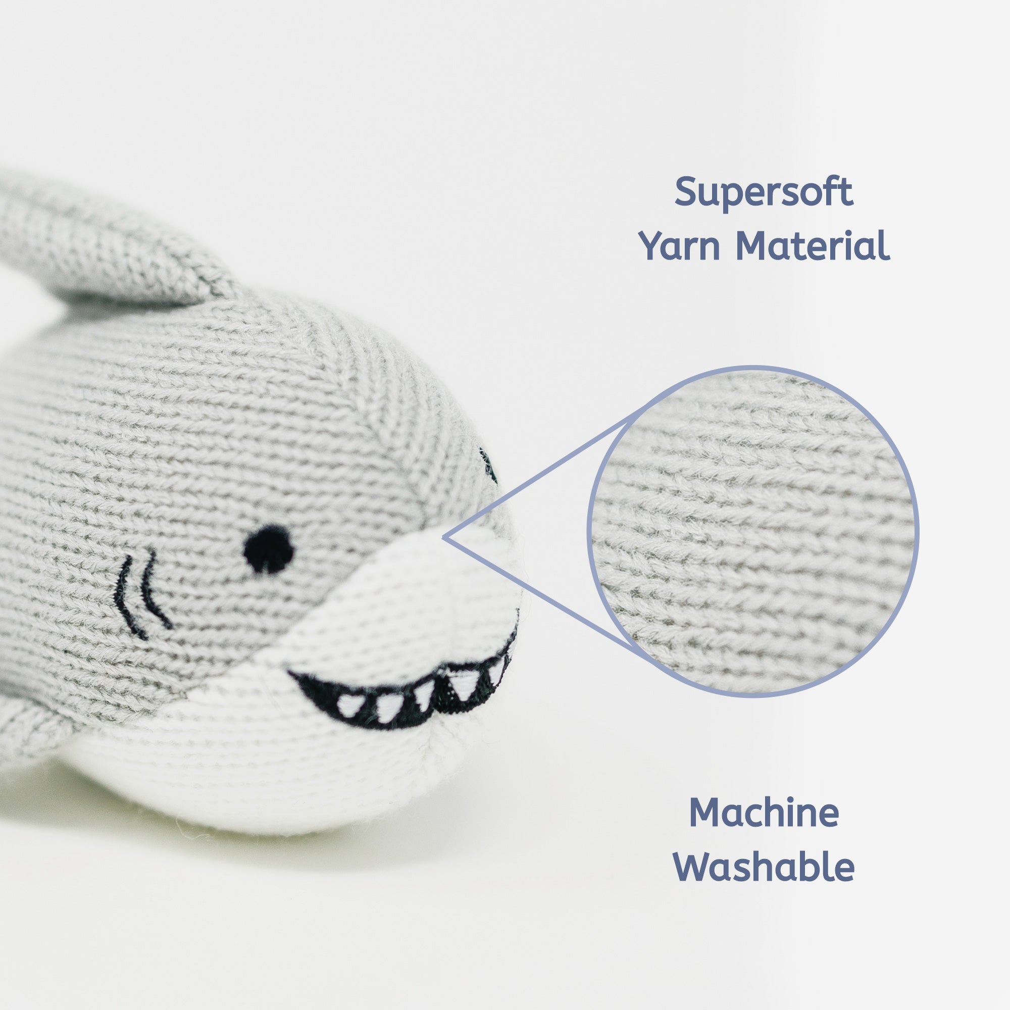 241104_Shark_Material_ML