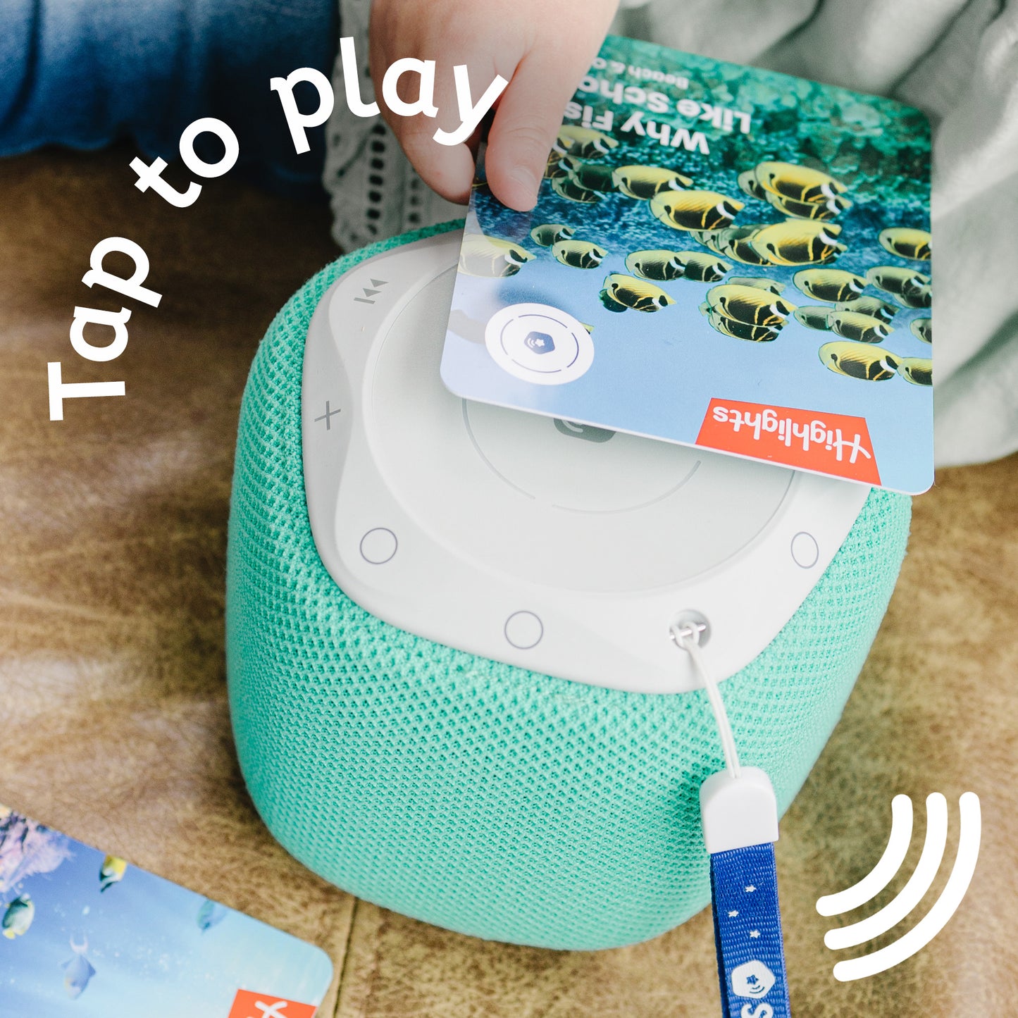 Highlights: Beach & Ocean