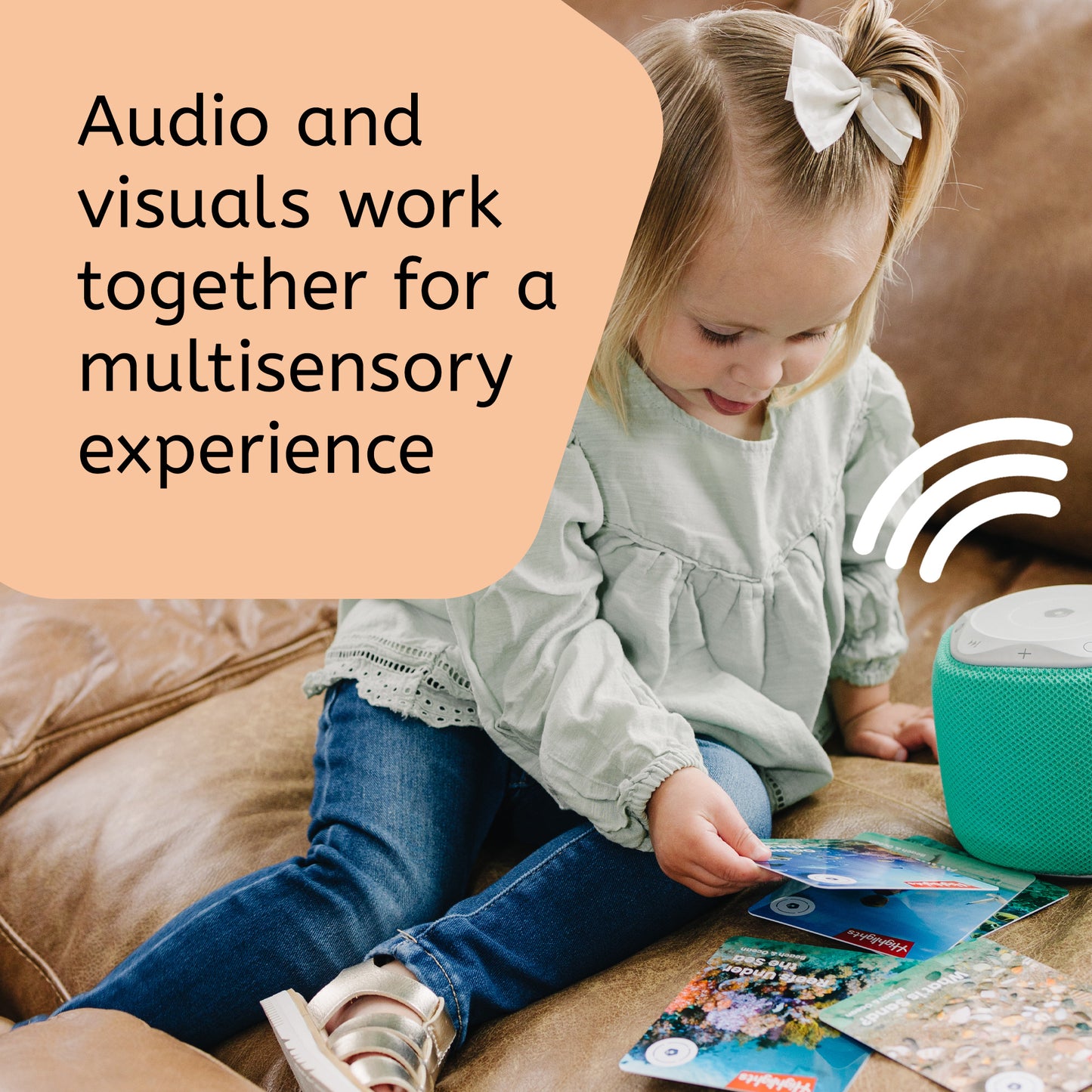 Highlights: Beach & Ocean