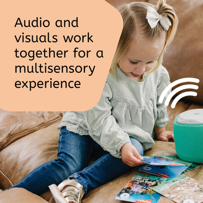 Highlights: Beach & Ocean