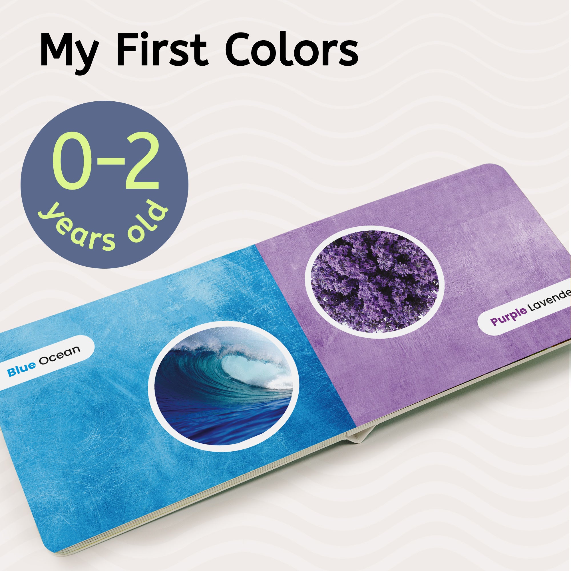My First Colors Book
