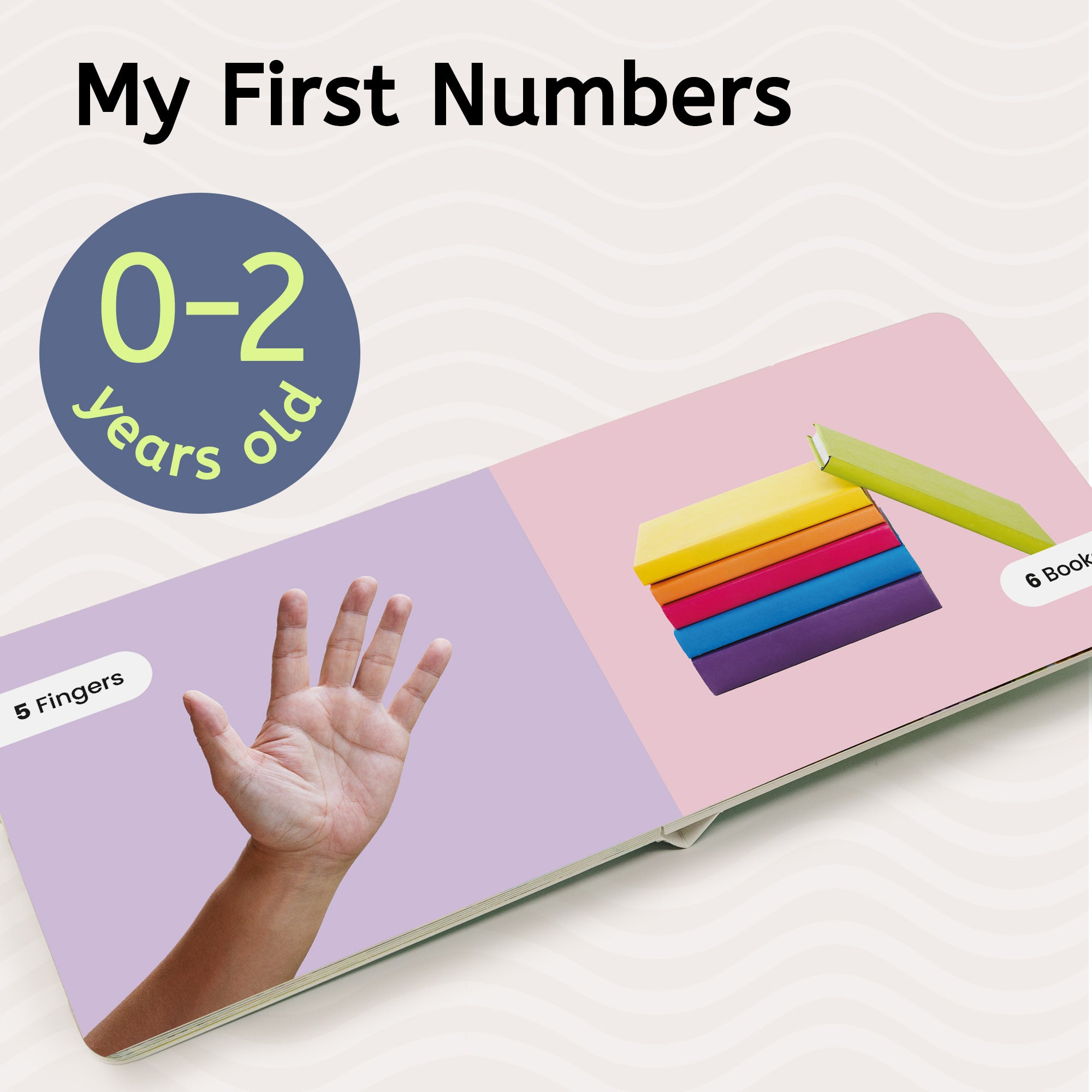 My First Numbers Book