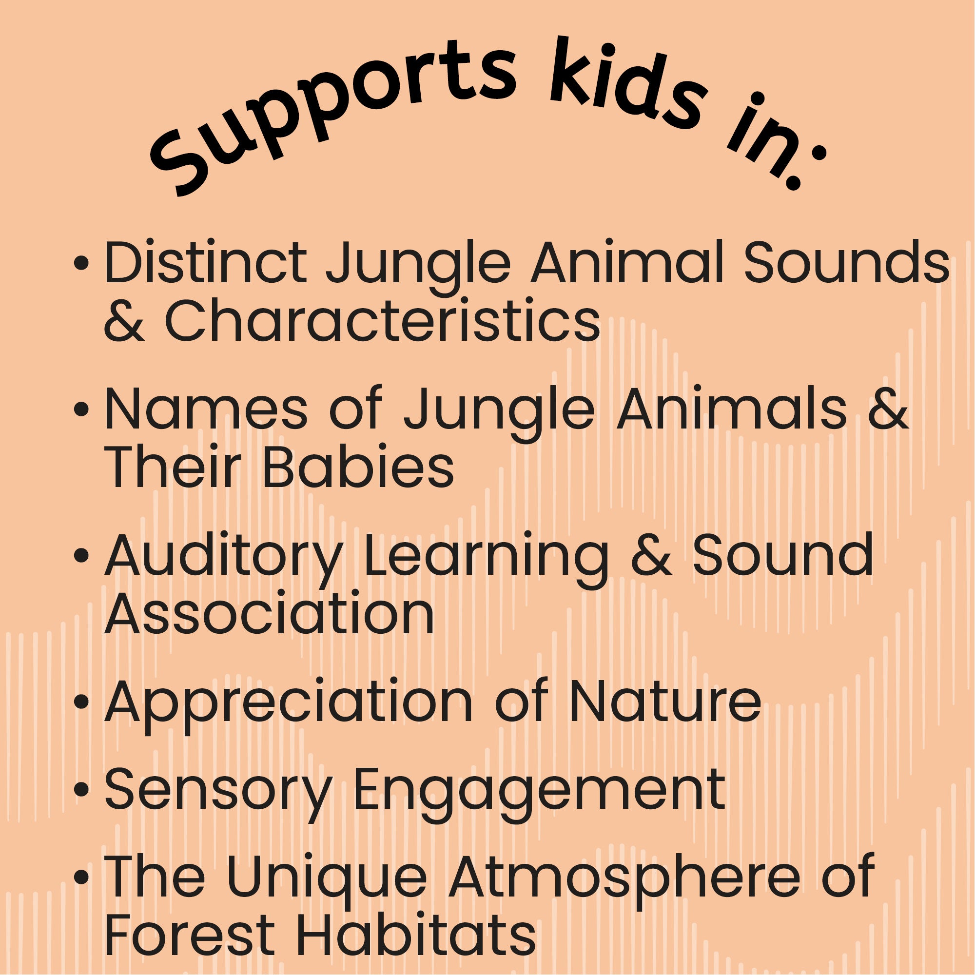 My First Jungle Animals Card Set