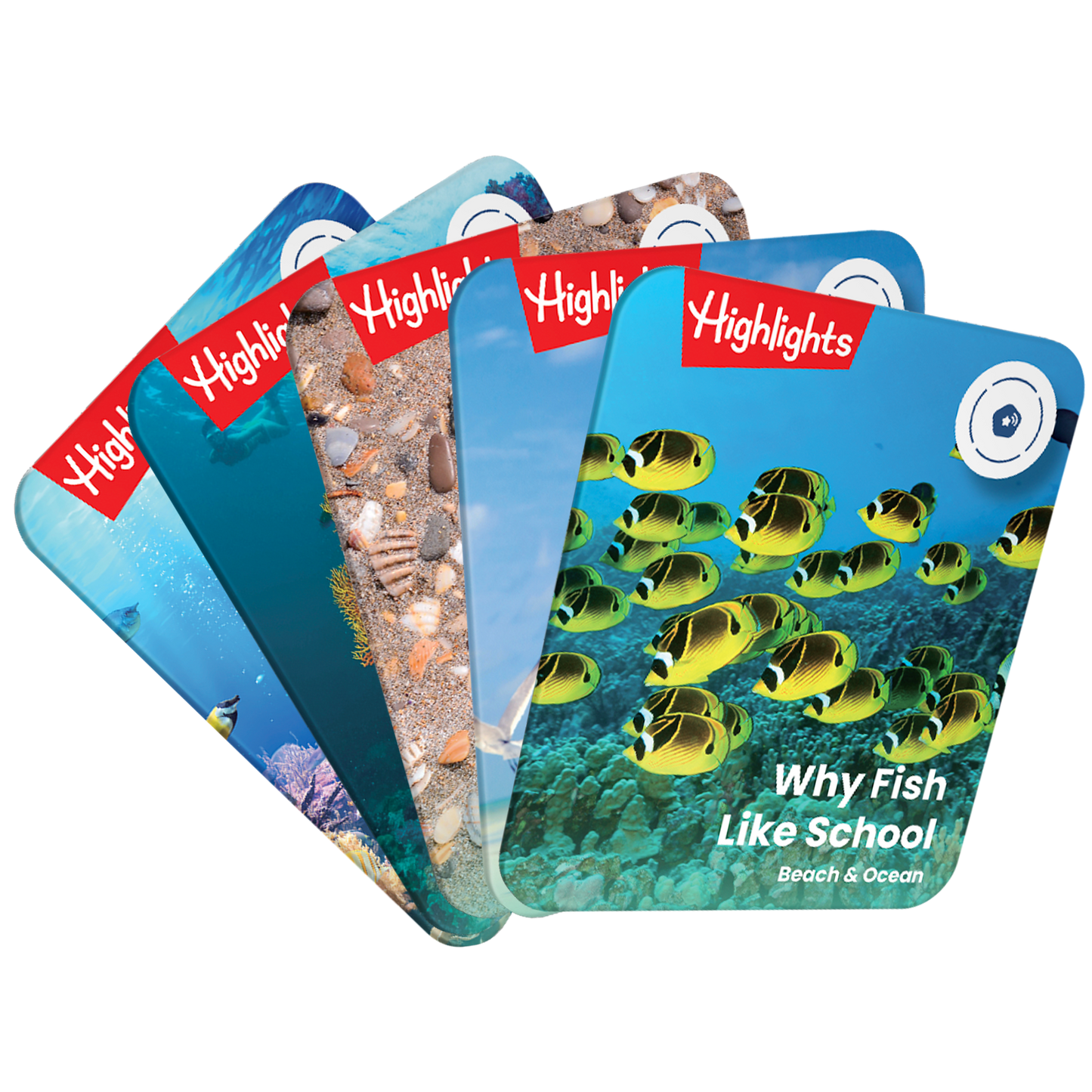 Highlights: Beach & Ocean