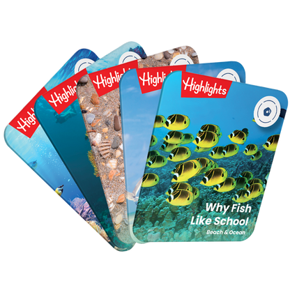 Highlights: Beach & Ocean