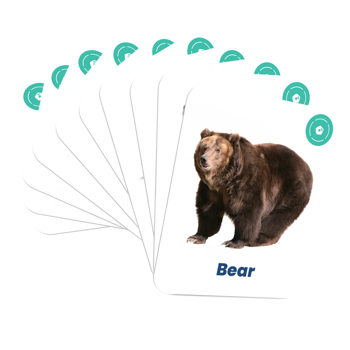 My First Forest Animals Card Set
