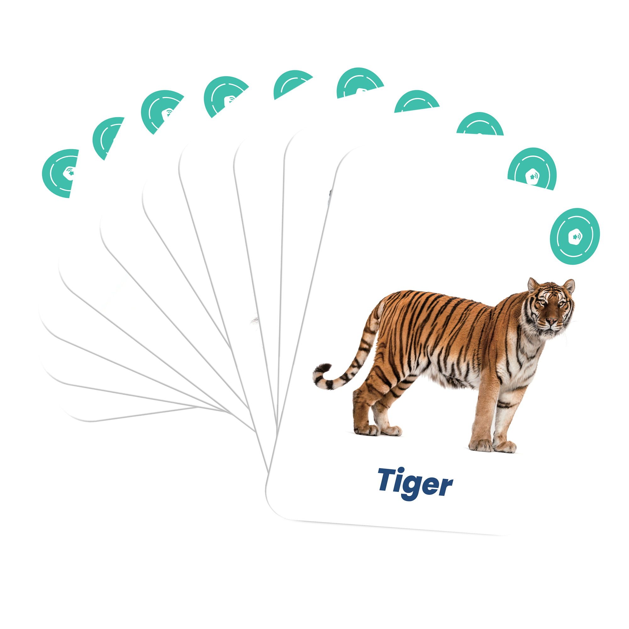 My First Jungle Animals Card Set