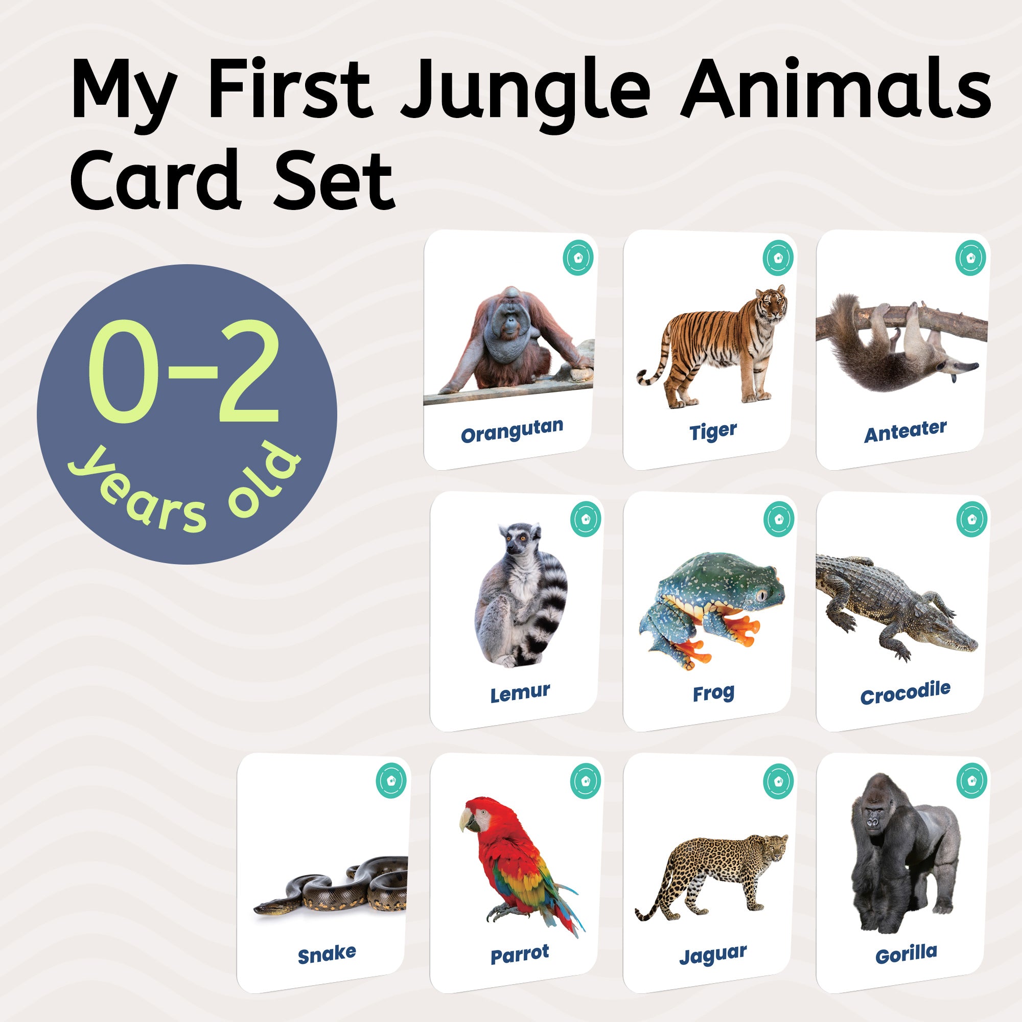 My First Jungle Animals Card Set