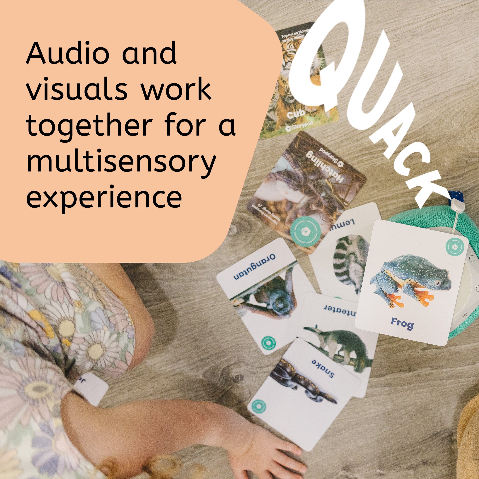 My First Jungle Animals Card Set