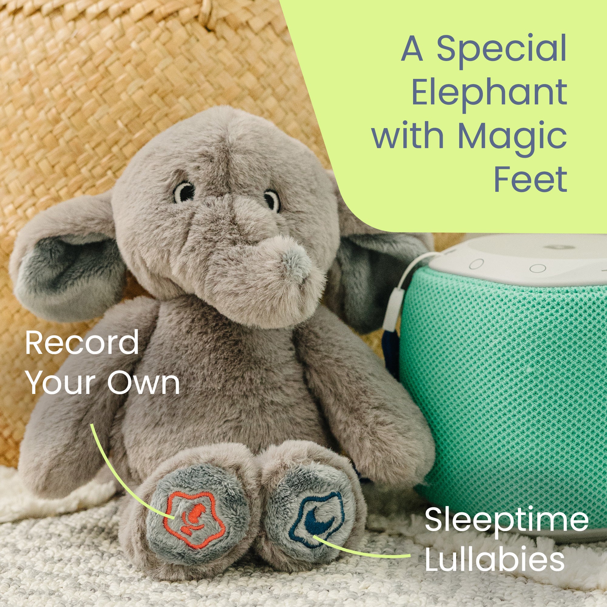 241217_03_Snuggly_Sounds_Elephant_Magical_Feet_ML