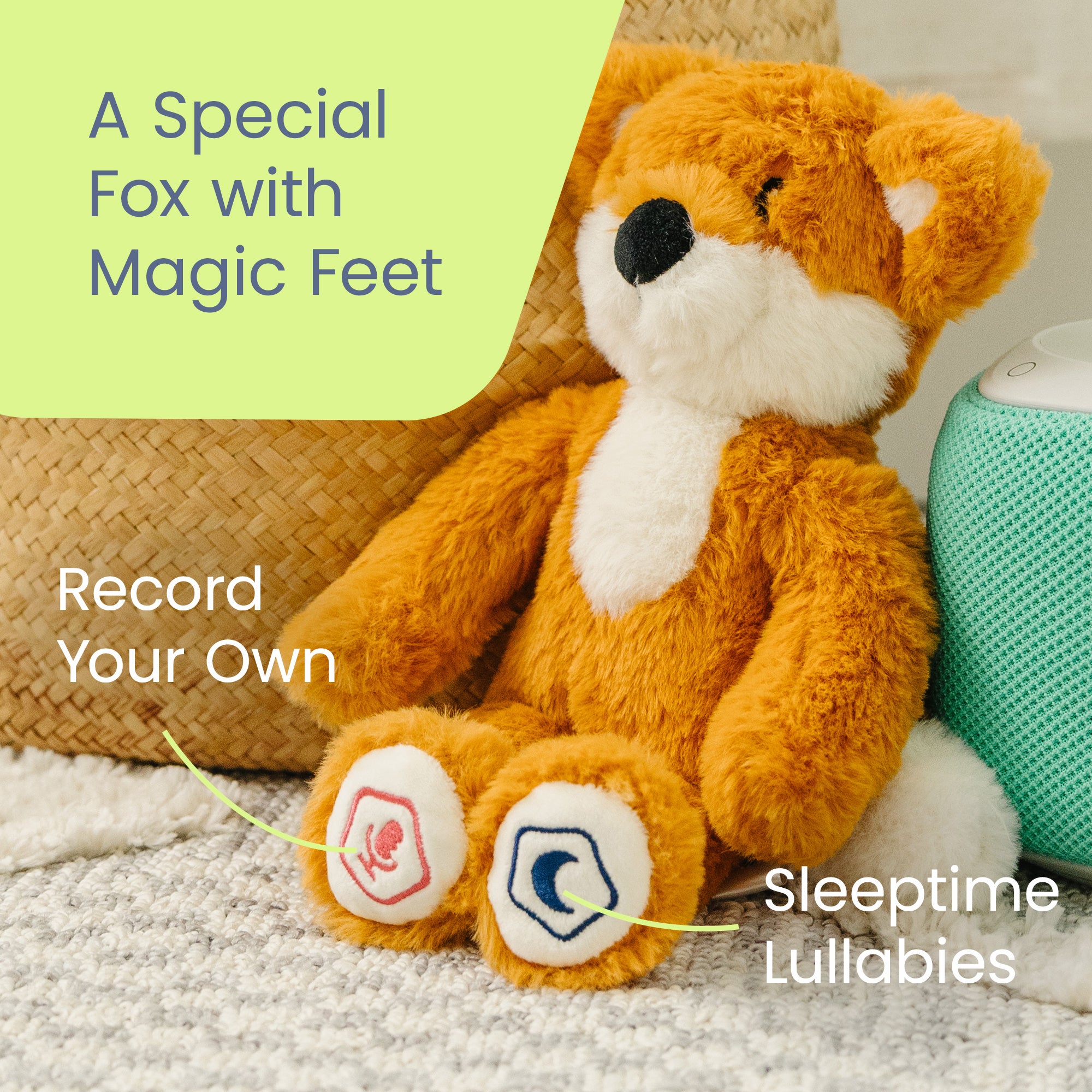 241217_03_Snuggly_Sounds_Fox_Magical_Feet_ML