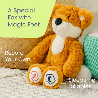 Baby Learn & Dream Bundle - Fox
