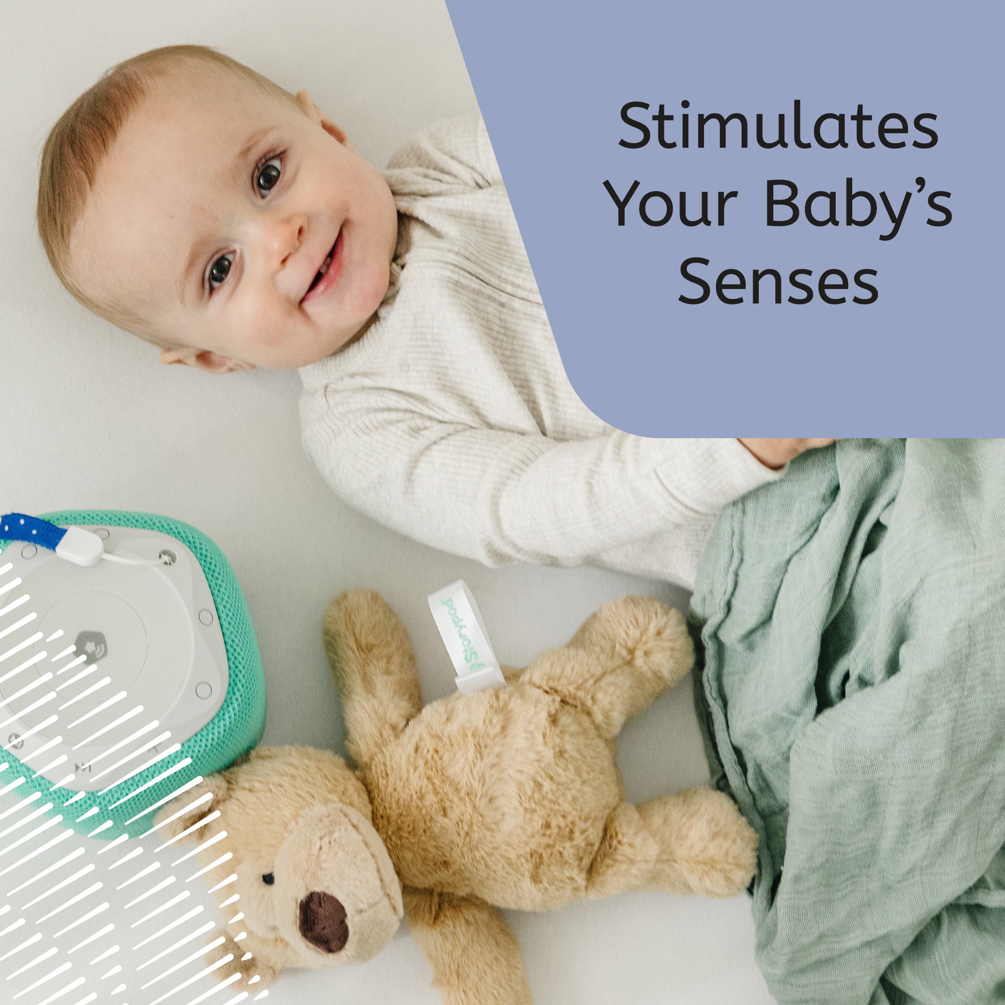 241217_04_Snuggly_Sounds_Bear_Sense_Stimulation_ML
