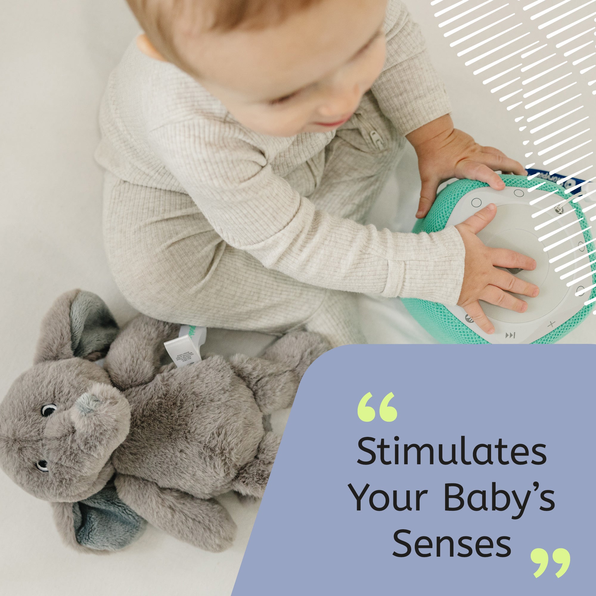 241217_04_Snuggly_Sounds_Elephant_Sense_Stimulation_ML