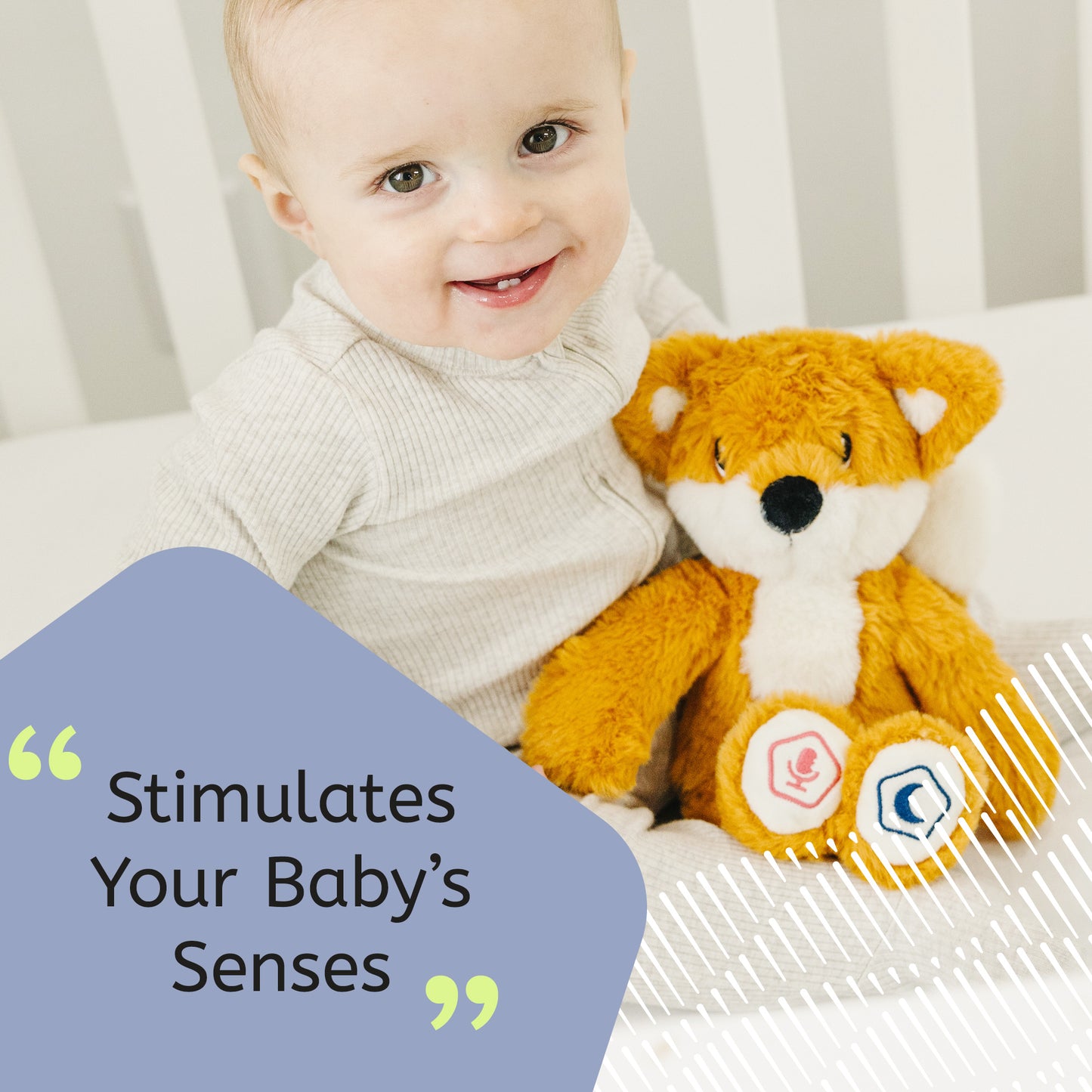 Baby Learn & Dream Bundle - Fox