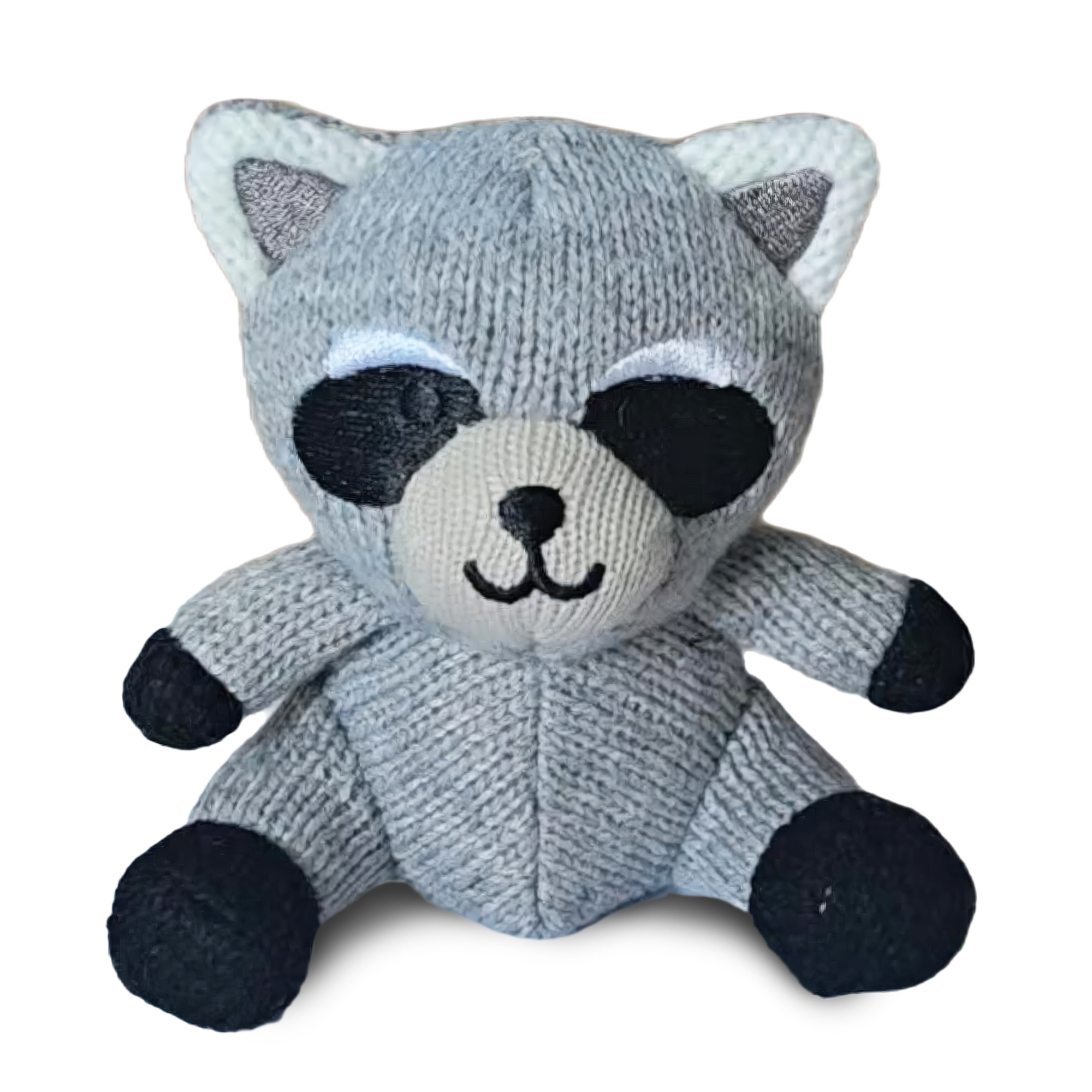 251202_Riley_Racoon_Hero