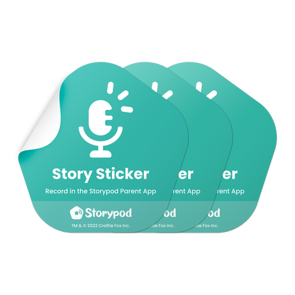 Recordable Story Stickers 3 Pack