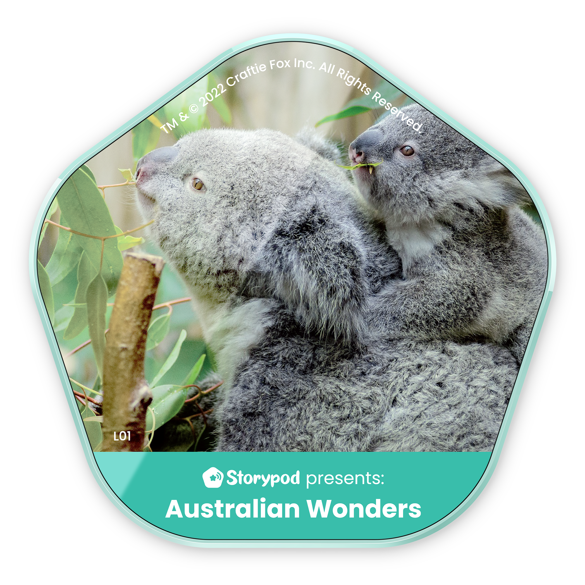 Australian Wonders