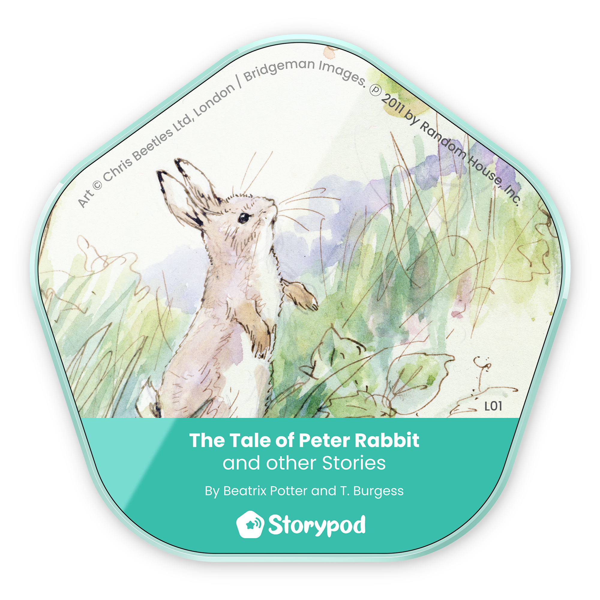 221123_PeterRabbit_Top-View_Mockup_Hero_BR