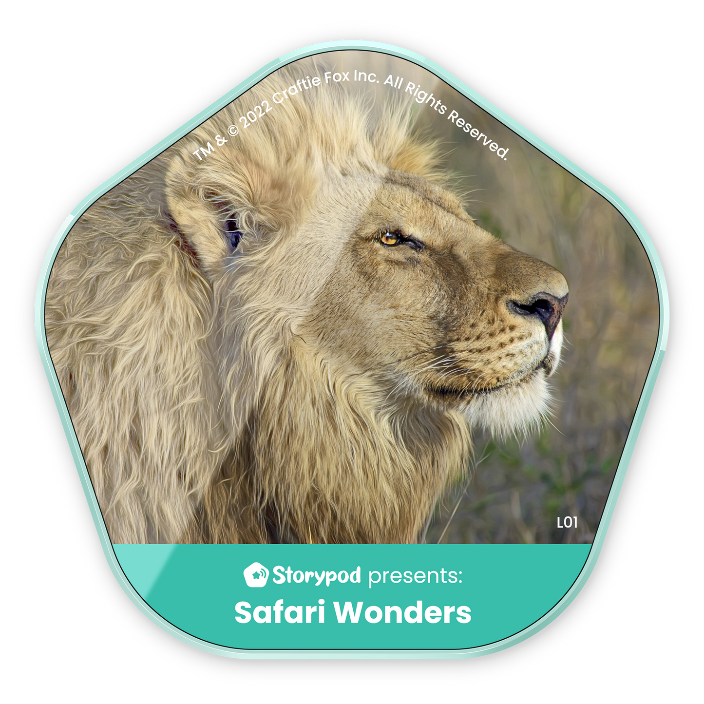 Safari Wonders