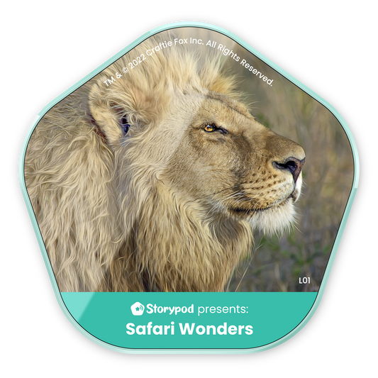 Safari Wonders