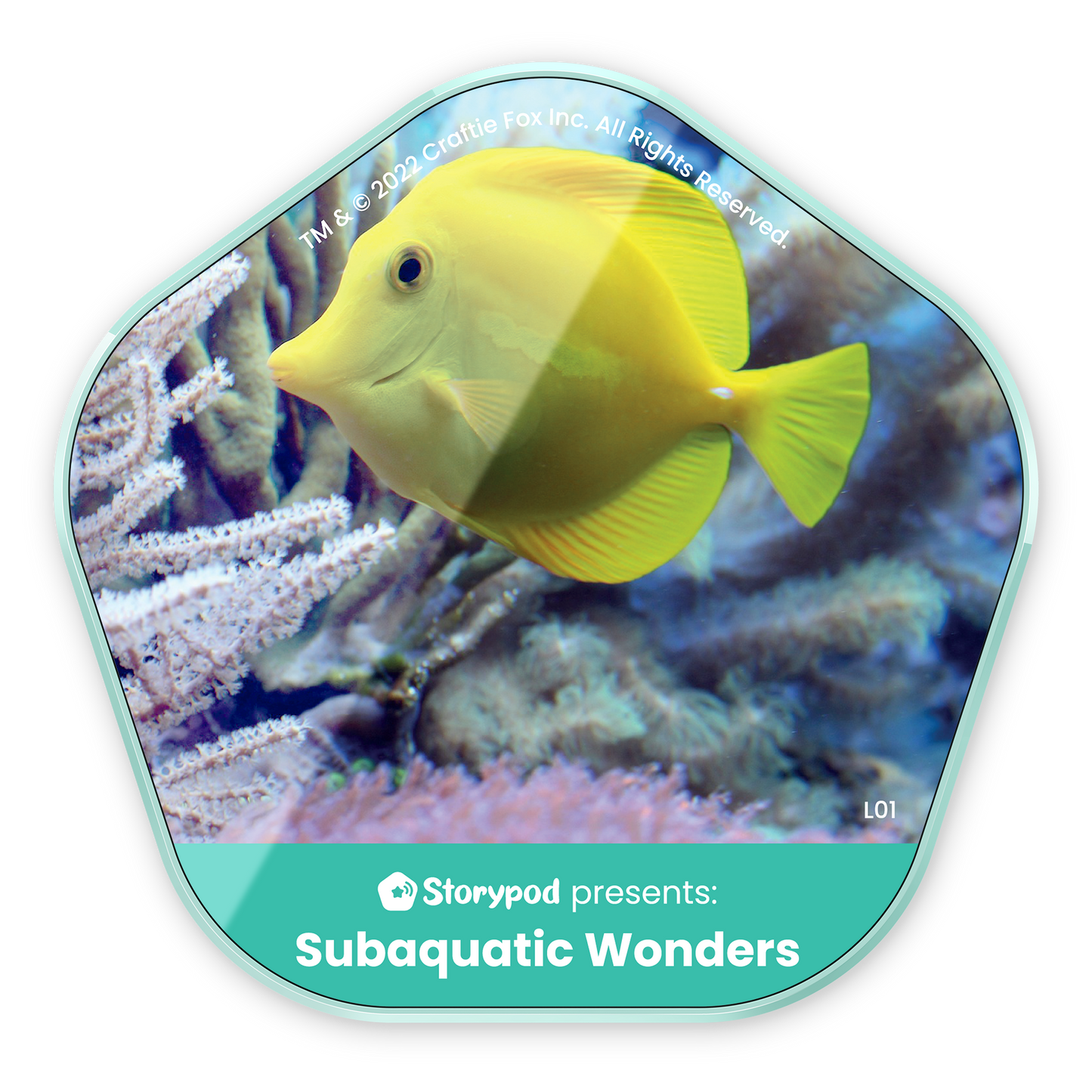 Subaquatic Wonders